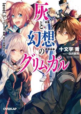 <i>Grimgar of Fantasy and Ash</i> Japanese light novel series and its franchise
