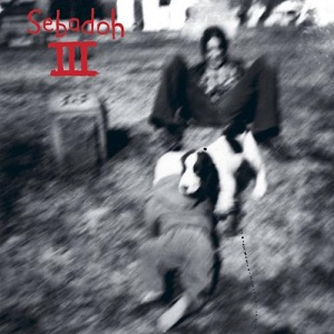 <i>Sebadoh III</i> 1991 studio album by Sebadoh