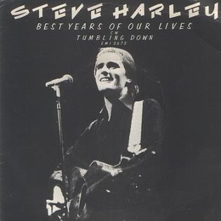 File:Steve Harley The Best Years of Our Lives 1977 Single Cover.jpg