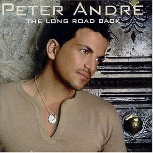 <i>The Long Road Back</i> 2004 studio album by Peter Andre