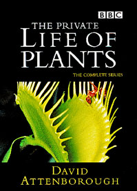 <i>The Private Life of Plants</i> British TV series or programme