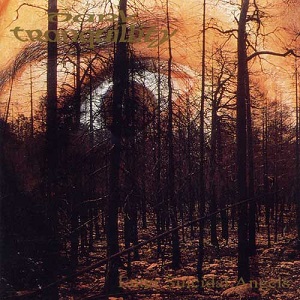 <i>Enter Suicidal Angels</i> 1996 EP by Dark Tranquillity