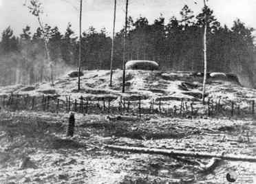 File:Polish bunkers.jpg