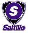 Saltillo Soccer httpsuploadwikimediaorgwikipediaen226Sal