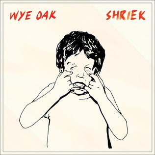 <i>Shriek</i> (Wye Oak album) 2014 studio album by Wye Oak