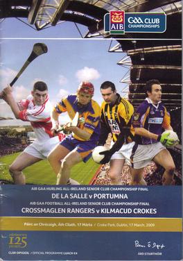 <span class="mw-page-title-main">2008–09 All-Ireland Senior Club Hurling Championship</span>