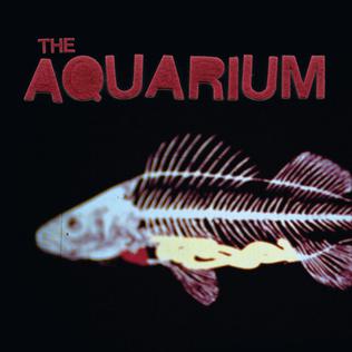 <i>The Aquarium</i> (album) 2006 studio album by The Aquarium