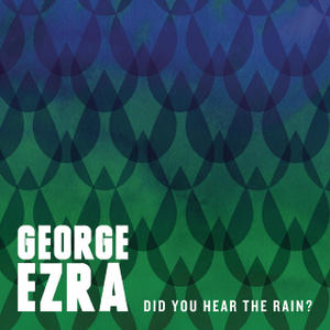 <span class="mw-page-title-main">Did You Hear the Rain?</span> 2013 single by George Ezra