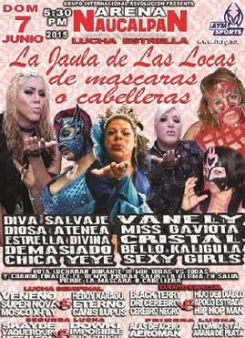 <span class="mw-page-title-main">La Jaula de Las Locas (2015)</span> 2015 International Wrestling Revolution Group event