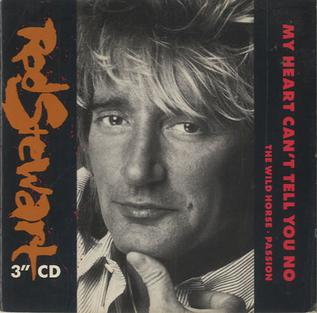 My Heart Cant Tell You No 1988 single by Rod Stewart