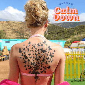 You Need to Calm Down 2019 single by Taylor Swift