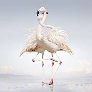 <i>Green Language</i> (album) 2014 studio album by Rustie