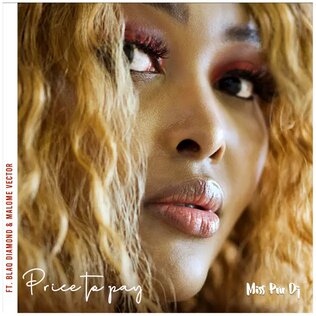 <span class="mw-page-title-main">Price to Pay</span> 2020 single by Miss Pru DJ