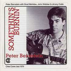 <i>Somethins Burnin</i> 1994 studio album by Peter Bernstein