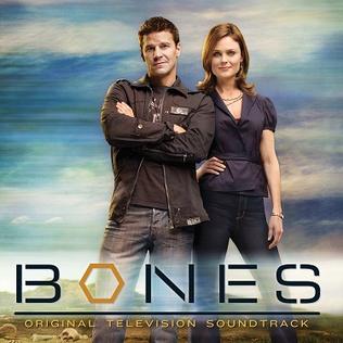 <i>Bones: Original Television Soundtrack</i> 2008 soundtrack album by Various Artists (Bones)