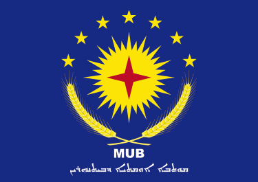 File:Flag of MUB.png