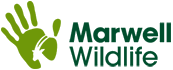 File:Marwell logo.png