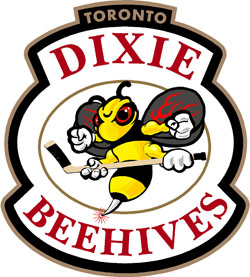 Dixie Beehives (2005–11)
