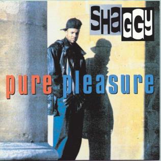 <i>Pure Pleasure</i> 1993 studio album by Shaggy