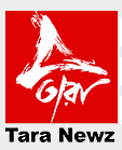 File:Tara Newz 2010.png