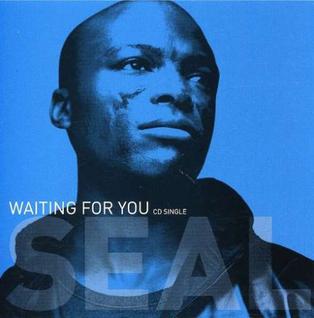 <span class="mw-page-title-main">Waiting for You (Seal song)</span> 2003 single by Seal