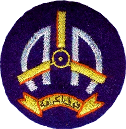 <span class="mw-page-title-main">Pakistan Army Aviation Corps</span> Pakistan army staff corps for army aviation.