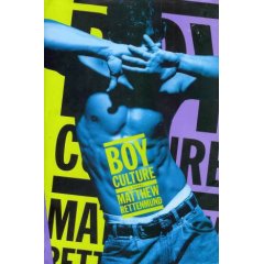 <i>Boy Culture</i> (novel) 1995 novel