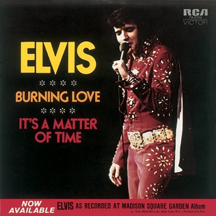 File:Elvis Burning Love PS.jpg