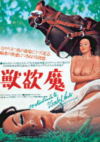 <i>Fiebre</i> (film) 1971 film by Armando Bó