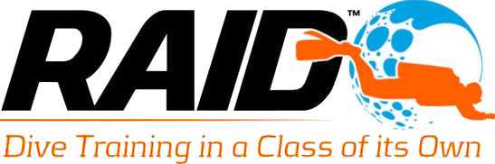 File:Logo of RAID.png