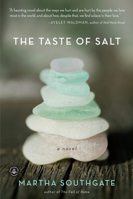 <i>The Taste of Salt</i>