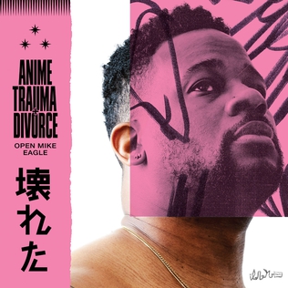 <i>Anime, Trauma and Divorce</i> 2020 studio album by Open Mike Eagle