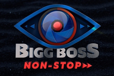 File:Bigg Boss Non-Stop Logo.jpg