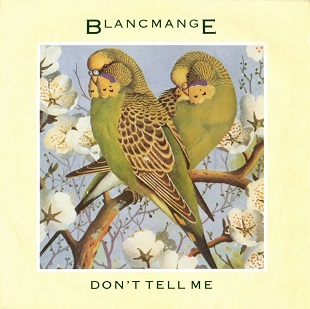 <span class="mw-page-title-main">Don't Tell Me (Blancmange song)</span> 1984 single by Blancmange