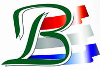 File:BoerestadtParty logo.jpg