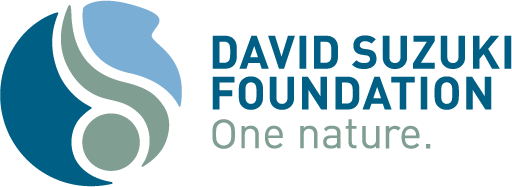 Great news! Toronto city council - David Suzuki Foundation