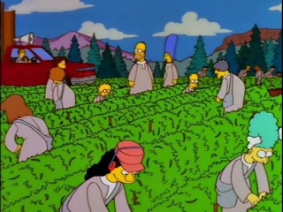 <span class="mw-page-title-main">The Joy of Sect</span> 13th episode of the 9th season of The Simpsons