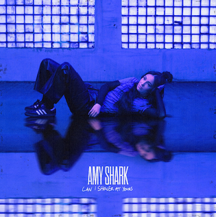 <span class="mw-page-title-main">Can I Shower at Yours</span> 2023 single by Amy Shark