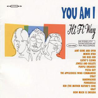 <i>Hi Fi Way</i> 1995 studio album by You Am I