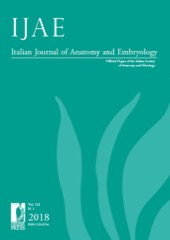 File:Italian Journal of Anatomy and Embryology.jpg