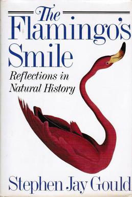<i>The Flamingos Smile</i>