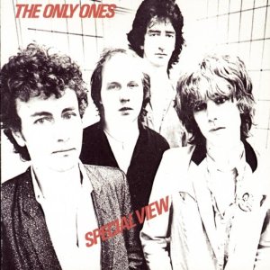 <i>Special View</i> 1979 compilation album by The Only Ones