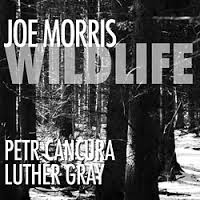 <i>Wildlife</i> (Joe Morris album) album