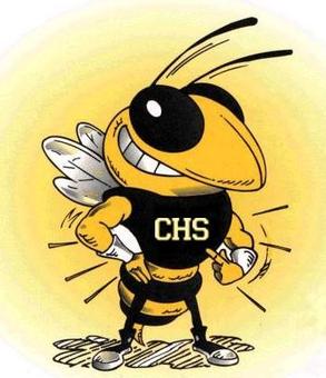 File:Yellowjacket (cartoon of school mascot, Calhoun High School, Calhoun, Georgia).jpg