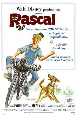 <i>Rascal</i> (film) 1969 film by Norman Tokar