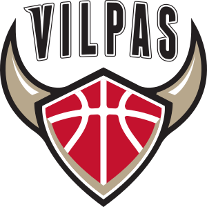File:Salon Vilpas Vikings logo.png