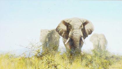 File:Shepherd-Elephants.jpg