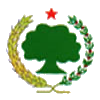 File:Oromo Liberation Front (emblem).png