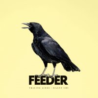 Tracing Lines / Silent Cry single by Feeder