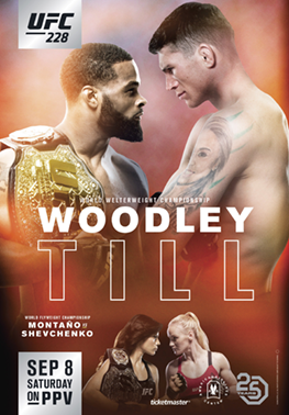 <span class="mw-page-title-main">UFC 228</span> UFC mixed martial arts event in 2018